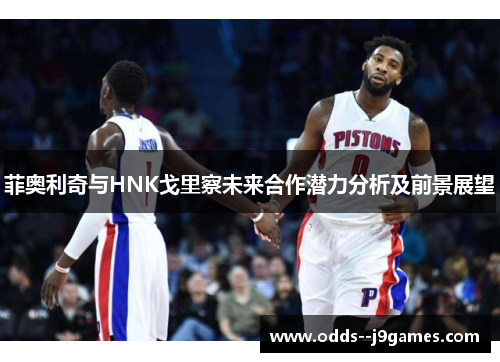 菲奥利奇与HNK戈里察未来合作潜力分析及前景展望