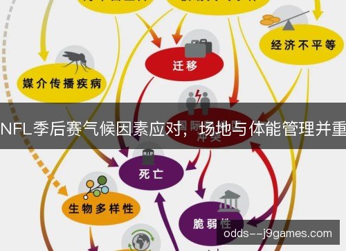 NFL季后赛气候因素应对,场地与体能管理并重 NFL季后赛气候因素应对,场地与体能管理并重